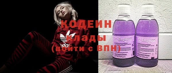 дурь Арсеньев