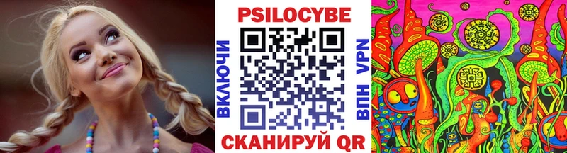 Купить  Новозыбков  Псилоцибиновые грибы Cubensis 