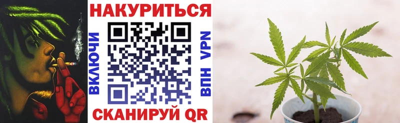 Купить  Новозыбков  Бошки Шишки MAZAR 